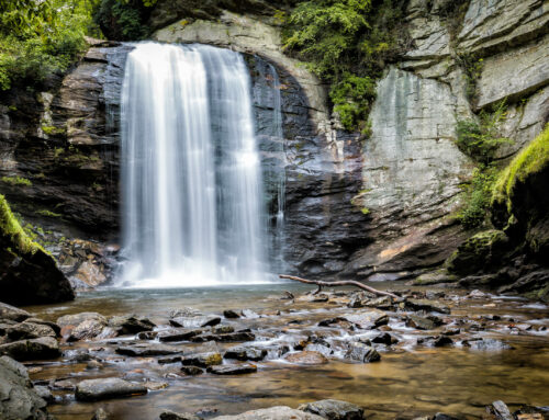 Our Favorite NC Waterfalls