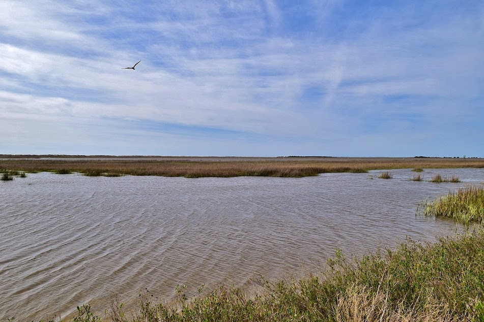 Kayaking, Boating, Fishing Series – Fort Fisher Basin - The Bluffs on ...